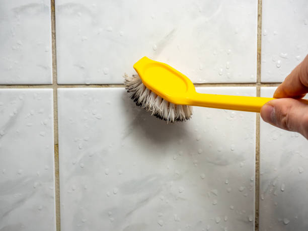 Best Fast Mold Removal  in Lynchburg, MS
