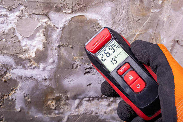 Best Mold Testing  in Lynchburg, MS