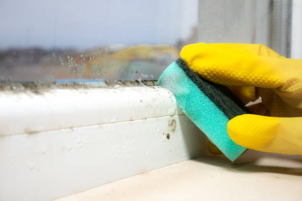 Water Damage Restoration in Lynchburg, MS