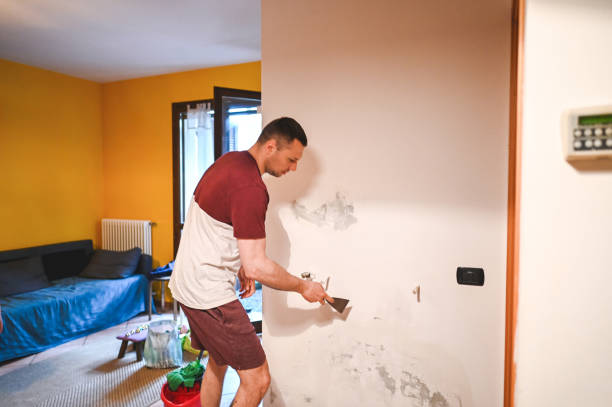 Best Office Mold Removal Services  in Lynchburg, MS