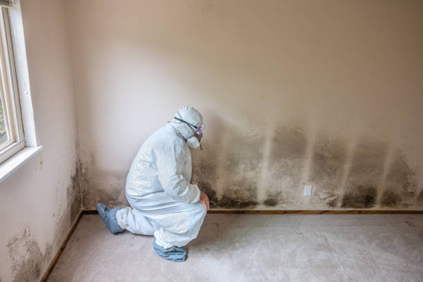 Best Residential Mold Removal  in Lynchburg, MS