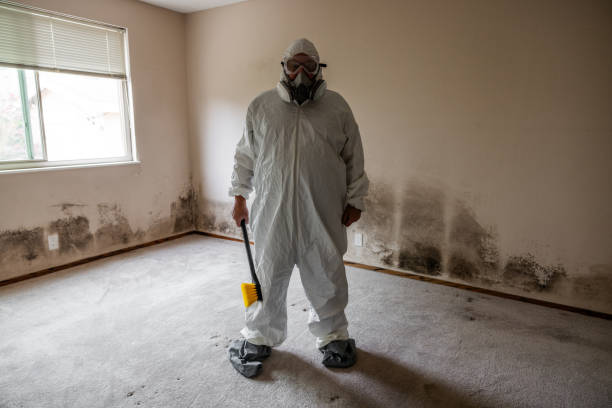 Best Affordable Mold Removal  in Lynchburg, MS