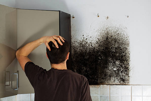 Best Toxic Mold Removal  in Lynchburg, MS